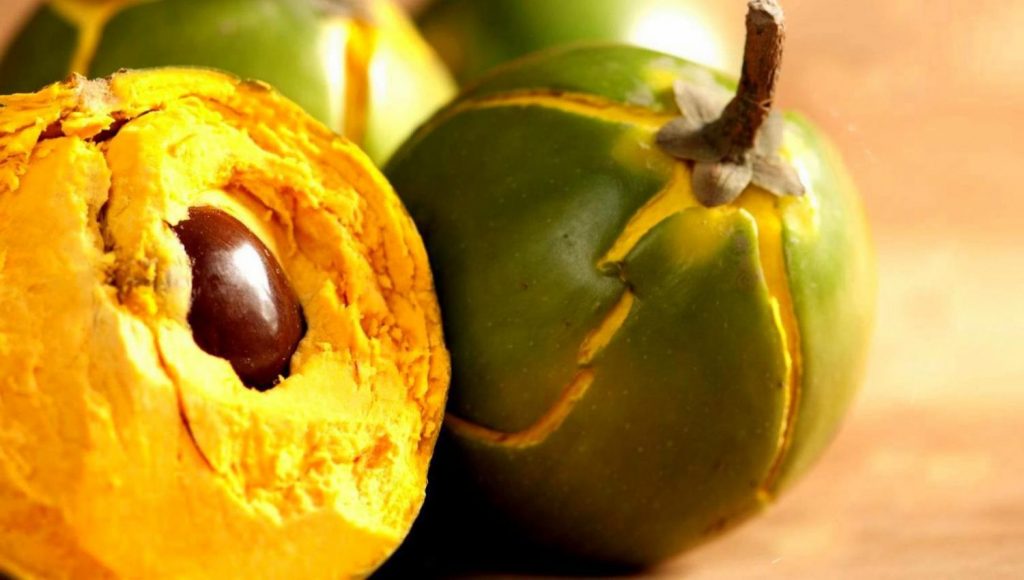 La poudre de lucuma bio comme la poudre de curcuma bio aide à lutter contre le cancer